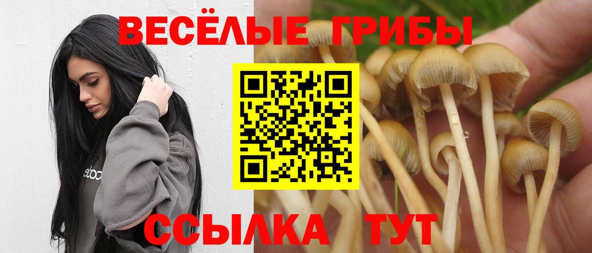 Галлюциногенные грибы MAGIC MUSHROOMS  Вход с VPN  Алейск  Галлюциногенные грибы Cubensis 